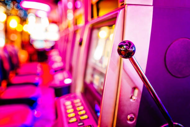 palu88 app features including live sportsbook, live-dealer tables, and slot games